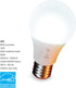 Globe Electric 50589 Color-Changing A19 LED Smart Light Bulb, 2.4 GHz Wi-Fi, 60W Equivalent 800LM, Works with Alexa Only, 1-Pack...