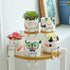 Ceramic Cow Planter, Cute Cartoon Smooth Glazed Flower Plant Pots Drainage Hole Small Succulent Pots for Mini Flower Planters Cactus, Plants Not I...