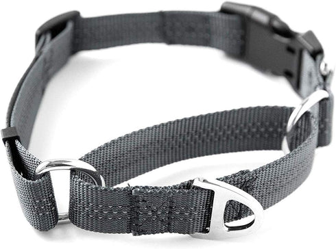 Mighty Paw Martingale Nylon Training Collar. Our Trainer Approved Limited Slip Collar. Modified Cinch Collar for Controlled Force for Optimal Trai...