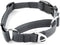 Mighty Paw Martingale Nylon Training Collar. Our Trainer Approved Limited Slip Collar. Modified Cinch Collar for Controlled Force for Optimal Trai...