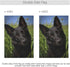 Black German Shepherd Dog Garden Flag Banner 12 x 18 Inch Decorative Garden Flag for Outdoor Lawn and Garden Home Décor Double-Sided...