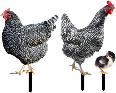HOMSFOU 1 Set Chicken Yard Art Acrylic Decorative Garden Stakes Acrylic Hen Sculpture Animal Lawn Ornament for Patio Lawns Backyard Garden Decor...