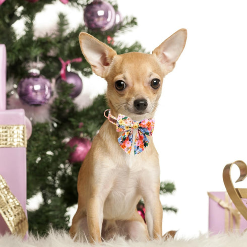 Unique style paws Cartoon Dog Collar with Bow Spring Summer Collar with Flower for Small Medium Large Boys Girls Dogs...