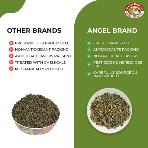 Angel Brand Jamaican Strongback Herb 0.25 oz Pouch Pack of 3 - Sourced from Fertile Land of Jamaica- Strongback Earthy,Woody & Bitter Flavor - Pro...