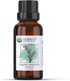 HBNO® California Bottled Organic Rosemary Essential Oil 1 fl oz (30ml) - USDA Certified Organic Rosemary Essential Oil for Aromatherapy, Soap Maki...