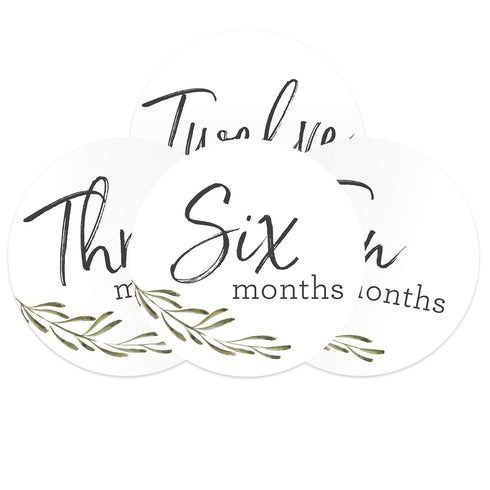 Baby Milestone Signs/Greenery Monthly Milestones/Botanical Infant Photo Prop...