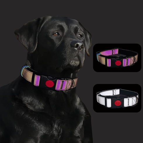 Reflective Dog Collar Soft Neoprene Padded Breathable Nylon Pet Collar Adjustable for Small Medium Large Dogs (Colorful, S)...