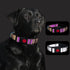Reflective Dog Collar Soft Neoprene Padded Breathable Nylon Pet Collar Adjustable for Small Medium Large Dogs (Colorful, S)...