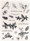 Winter Birds Clear Stamps for Card Making Tree Words Transparent Silicone Stamp DIY Scrapbooking Supplies Embossing Paper Card Album...