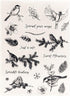Winter Birds Clear Stamps for Card Making Tree Words Transparent Silicone Stamp DIY Scrapbooking Supplies Embossing Paper Card Album...