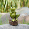 Frog Statue Decoration, Creative Garden Frog, Figurine Deco Crafts Animal Sculptures, Individual Decoration for Yard Garden Outdoor Indoor....