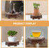 GANAZONO Wood Planter Riser 2pcs Wood Stool Rustic Plant Stand Chinese Style Planter Pedestal Flower Pot Display Rack Tabletop Fish Tank Base Hand...