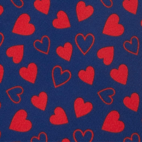Jacob Alexander Men's Happy Valentine's Day Mini Red Hearts Pattern Pre-Tied Zipper Neck Tie - Dark Blue...