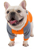 Bulldog Dog Clothes pet Clothes Dog Clothes pet Clothing Dog Clothing Bulldog Sweater (M, Orange)...