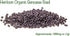 Organic Basil Seeds - Genovese - Ocimum basilicum - Seeds for Planting, 1550+mg - 860+ Herb Seeds, Indoor or Outdoor Growing, Heirloom, Non-GMO...