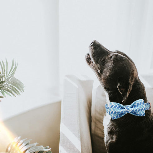 Dog Collar, Blue Print Adjustable Dog Bow Collar Boy Pet Collar Dog Bowtie Duarble Dog Collars for Small Medium Large Dogs...