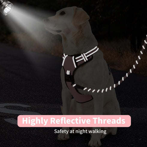 NESTROAD Heavy Duty Dog Leash with 2 Padded Handles,High Reflective Threads Rope Dog Leash with Poop Bag Holder for Small,Medium and Large Dogs Wa...