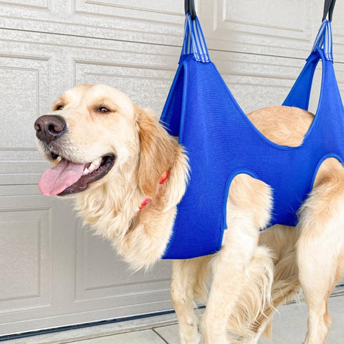 Pet Grooming Hammock Harness for Cats Dogs, Relaxation Pet Grooming Hammock Restraint Dog & Small Animal Dog Grooming Harness Bag (L? Legs Spacing...