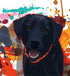 FANGKISSU 5D DIY Diamond Art Kits Black Lab Graphic Portrait Splattered Full Drill Painting Arts Craft Canvas for Home Wall Decor Full Drill Cross...