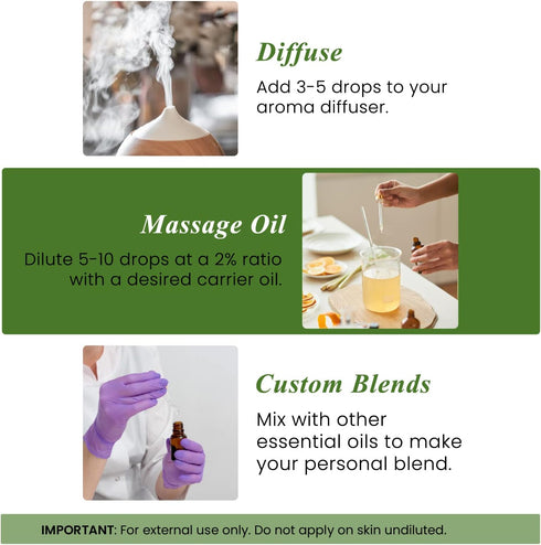 Handcraft Blends Bergamot Essential Oil - 100% Pure and Natural - Premium Grade Essential Oil for Diffuser and Aromatherapy - 1 Fl Oz...