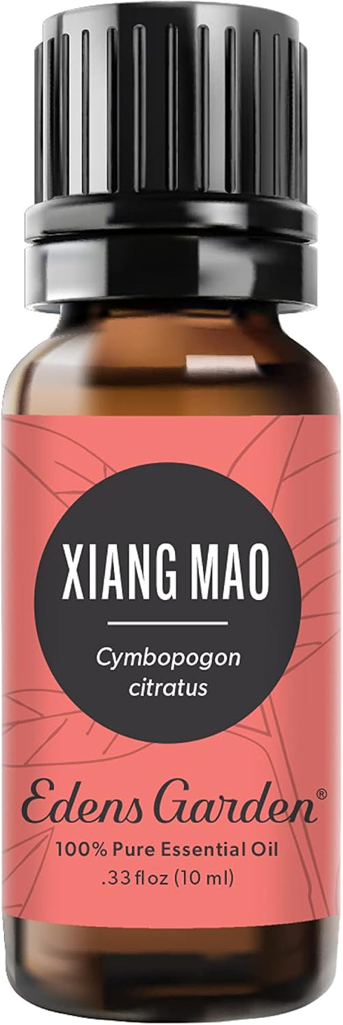 Edens Garden Xiang Mao Essential Oil, 100% Pure Therapeutic Grade (Undiluted Natural/Homeopathic Aromatherapy Scented Essential Oil Singles) 10 ml...