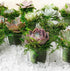 BYHER Artificial Moss Fake Green Grass for Centerpieces Home Kitchen Garden Decor (8OZ, Fresh)...