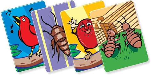 R&R Games Birds Bugs & Beans Family Game...