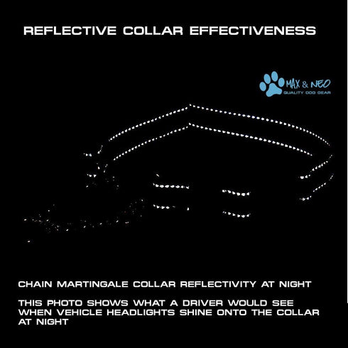 Max and Neo Stainless Steel Chain Martingale Collar - We Donate a Collar to a Dog Rescue for Every Collar Sold (Medium, PINK)...