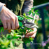 Gardening Scissors Gardening Tools for Gardening, Trimming, Harvesting...