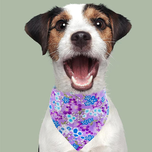 PET SHOW 4Pcs Small Dog Bandanas Slide on Collar Set Washable Cherry Blossoms Puppies Cat Bandanas Bibs Slip Through Collar Accessories for Boy Gi...
