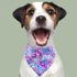 PET SHOW 4Pcs Small Dog Bandanas Slide on Collar Set Washable Cherry Blossoms Puppies Cat Bandanas Bibs Slip Through Collar Accessories for Boy Gi...