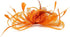 Song Qing Women's Fascinator Feather Flower Hair Clip Pin Brooch Corsage Bridal Hairband Derby Hat Cocktail Party Wedding...