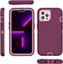 FEIYAR HOME for iPhone 13 Pro Max Heavy Duty Case with 2 Tempered Glass Protectors and Camera Lens Protector, Belt Clip Holster Kickstand - Milita...