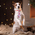 Dog Bow Ties Set, 24pcs Adjustable Holiday Themed, for 4th of July, Memorial Day, Pet Dog Collar Grooming Accessories...