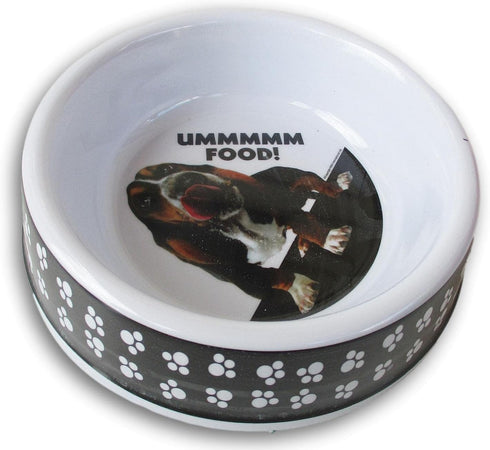 Plastic 2 Cup Capacity Basset Hound and Paw Print Pattern Pet Bowl - 7 x 1.75 Inch...