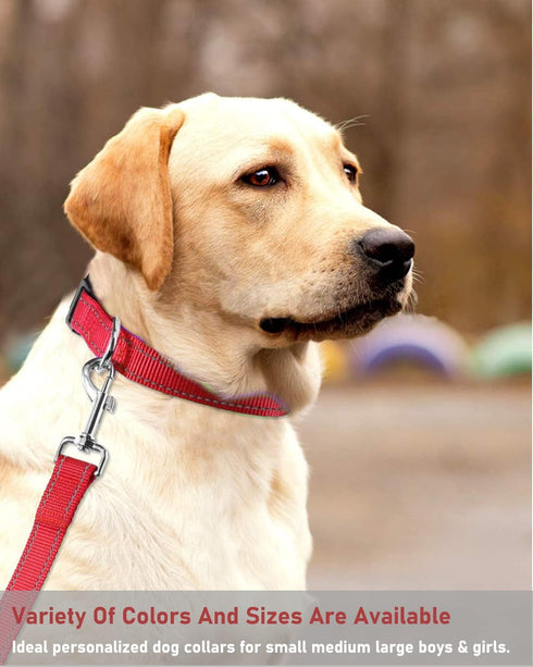 Reflective Dog Collar with Buckle Adjustable Safety Nylon Collars for Small Medium Large Dogs, Red M...