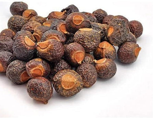 AnNafi® Reetha | Organic Soap Nuts | Aritha/Areetha/Kunkudukaialu | Sapindus used for making Reetha Powder, Ritha Shampoo, Oil | Natural Hair Care...
