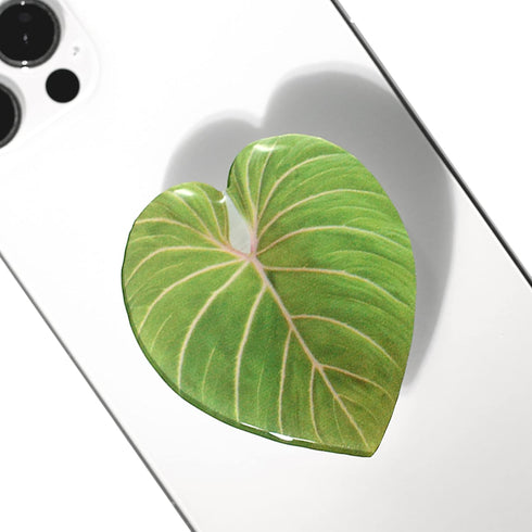 COMMONKUNST Tropical Rare Leaf Plant Multi Functional Collapsible Expandable Mobile Phone Grip & Kicktand (Gloriosum)...