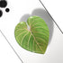 COMMONKUNST Tropical Rare Leaf Plant Multi Functional Collapsible Expandable Mobile Phone Grip & Kicktand (Gloriosum)...