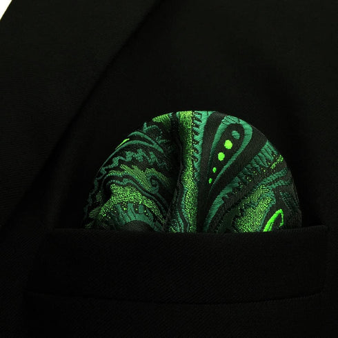 S&W SHLAX&WING Neck Tie Sets for Men Matching Necktie Dark Green Paisley Matching Pocket Square...