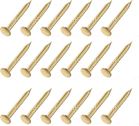 Small Nails (1x10mm) 200pcs, Carbon Steel Tiny Hardware Nails - for Household Woodworking, Gold Tone...
