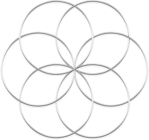 Worown 6 Pcs 10 Inch Floral Wreath Hoops, Silver Metal Rings for Making Wedding Wreath Decor and Wall Hanging Craft...