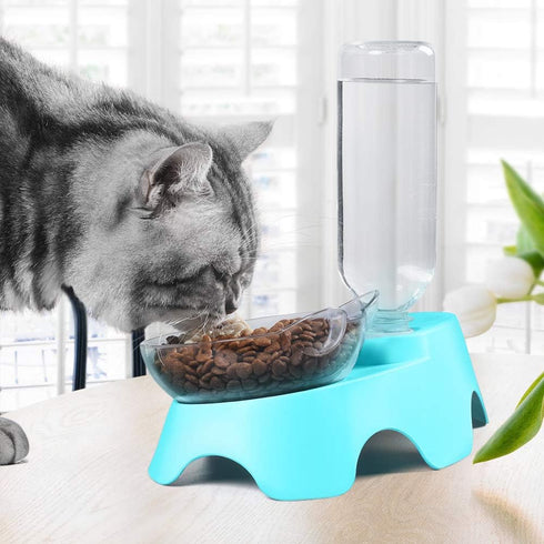 MILIFUN Double Dog Cat Bowls - Pets Water and Food Bowl Set, 15°Tilted Water and Food Bowl Set with Automatic Waterer Bottle for Small or Medium S...
