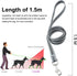 Puppy Harness and Leash Set - Dog Vest Harness for Small Dogs Medium Dogs- Adjustable Reflective Step in Harness for Dogs, Cats - Soft Mesh Comfor...