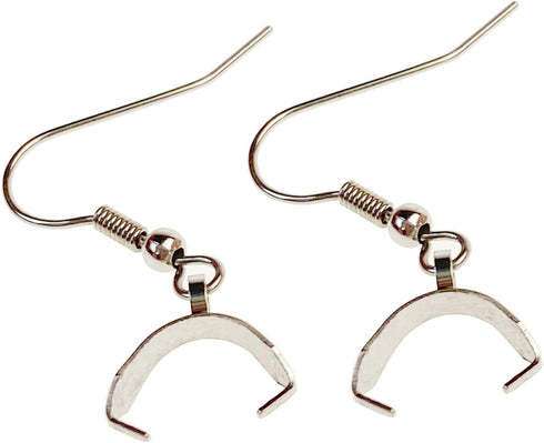 50PCS Stainless Steel Pendant Clasp Earring Hooks Ear Wire Buckle Fish Hooks for DIY Jewelry Making...