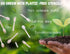 Bamboo Disposable & Compostable Forks | Biodegradable | 6.7" Eco-Friendly Utensils | 100 Pack (Forks)...