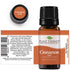 Plant Therapy Cinnamon Leaf Essential Oil 10 mL (1/3 oz) 100% Pure, Undiluted, Therapeutic Grade...