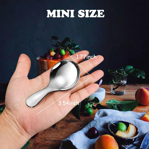 Stainless Steel Mini Spoons for Desserts Metal Small Cute Spoons for Ice Scream Coffee Sugar Spoon Salt Jam Honey Mustard Spoons Fit in Jar Spices...