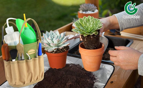 13 Pieces Succulent Tools Kit with Organizer Bag, Gardening Tool Set with Tote,Mini Succulent Garden Tool Kit Succulent Bonsai Planter Set Indoor ...