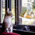 Hanging Bird Feeder, Clear Acrylic Window Birdfeeder with Chains, Squirrel Proof Decorate Triangle Outdoors Wild Bird Feeders for Finch, Warblers,...